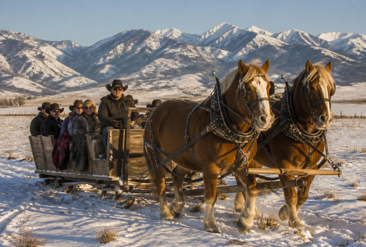 Eagle River Draft-Horse Sleigh Ride
